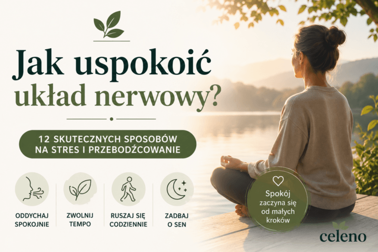 Grafika przedstawiająca osobę medytującą nad jeziorem oraz tytuł „Jak uspokoić układ nerwowy? 12 skutecznych sposobów na stres i przebodźcowanie”